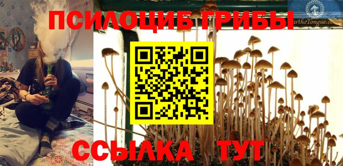 Псилоцибиновые грибы Cubensis  Вход с VPN  Норильск 